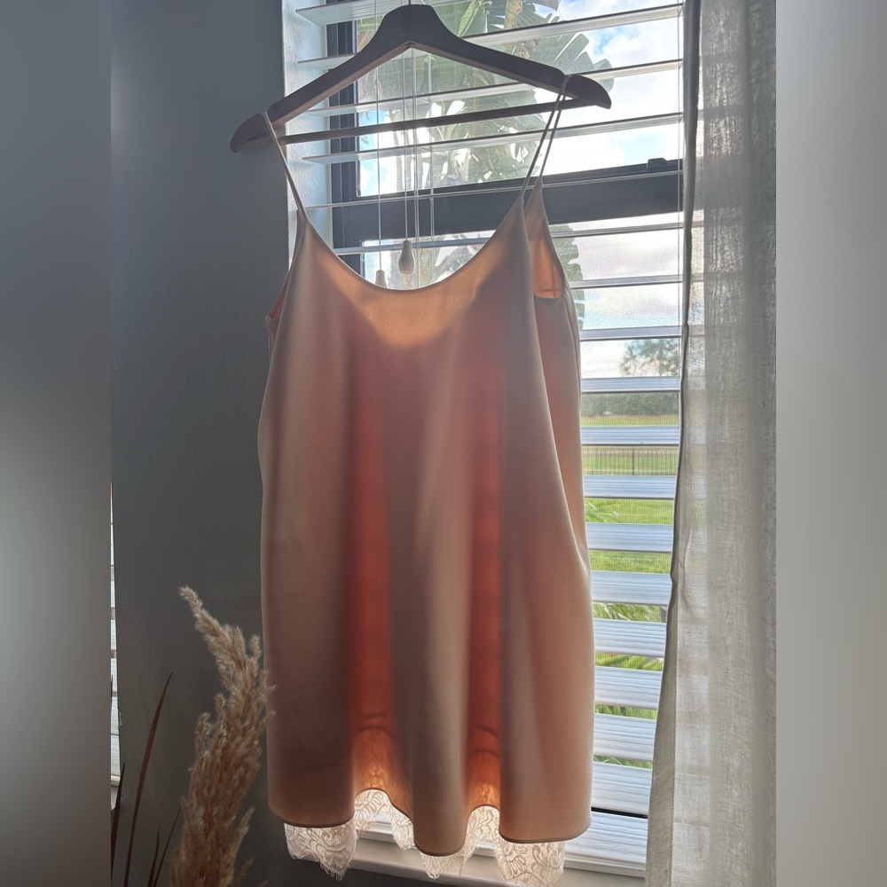 Like New Zara Blush Satin Dress